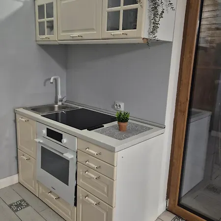 Penthouse With Outside Jacuzzi And Barbeque -central View Craiova
