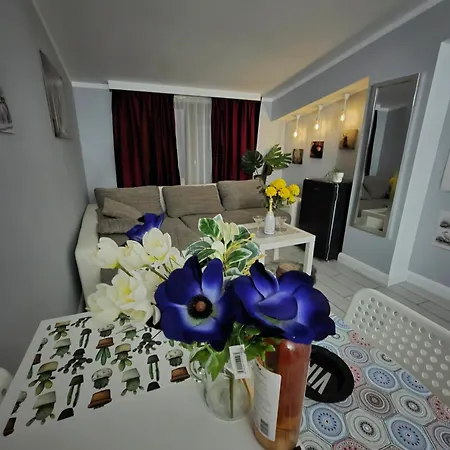 Lejlighed Penthouse With Outside Jacuzzi And Barbeque -central View Craiova